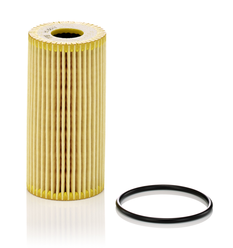 Eļļas filtrs MANN HU6011z 6261840025 4420403 7701478538